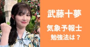 武藤十夢が気象予報士に合格した勉強法は?隙間時間をどう使った?