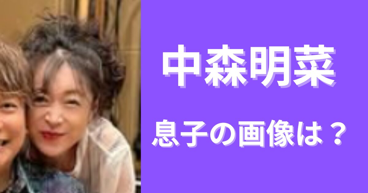 中森明菜の息子の画像は？プロ野球選手って本当？
